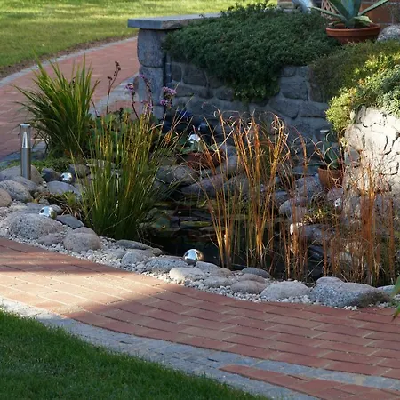 Schubert * 사가드