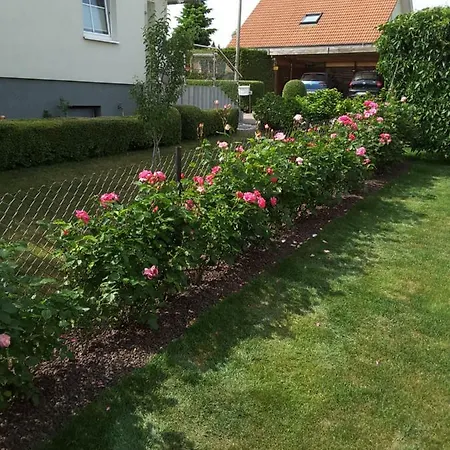 Apartament Schubert Sagard